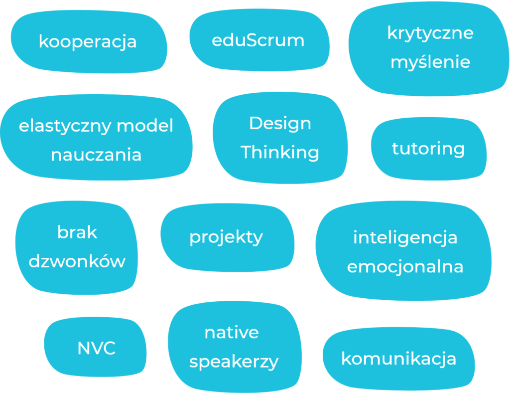 NVC-native-speaker-projekty-Design-Thinking-kooperacja-liceum-kampus-pszczyna-slaskie